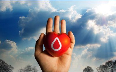 Donación de sangre en el Centro Cívico La Cartuja Baja