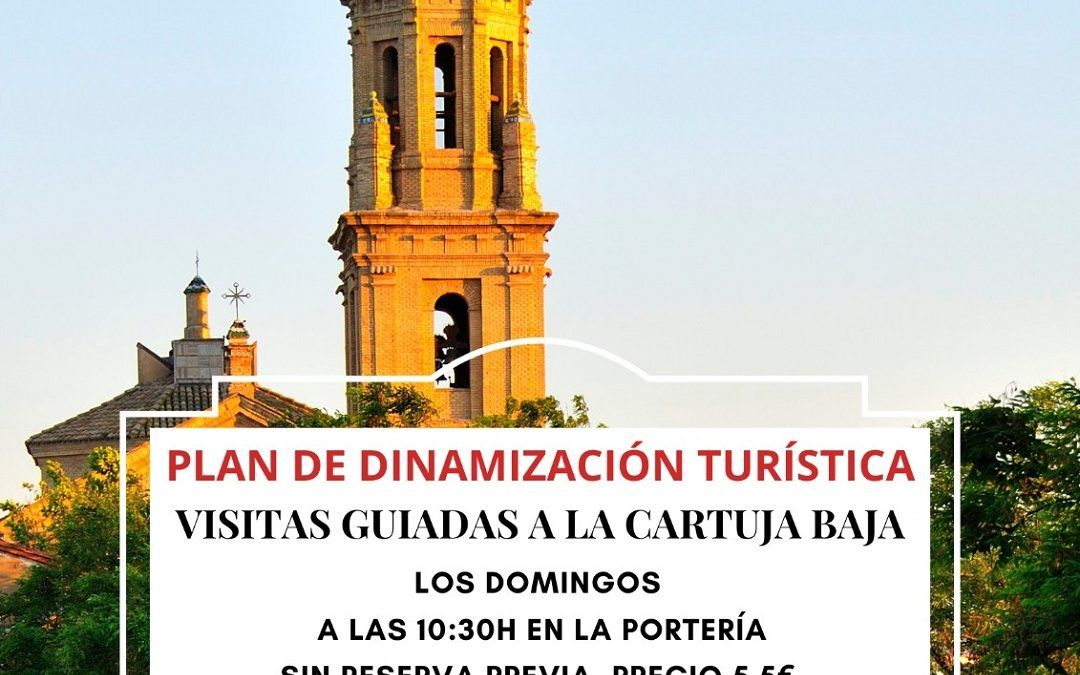 Visitas guiadas a la Cartuja Baja 2022